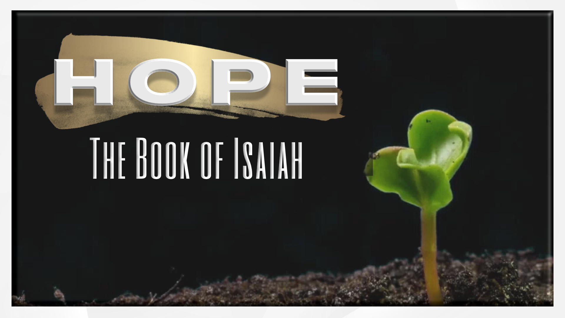 Hope in Judgment
