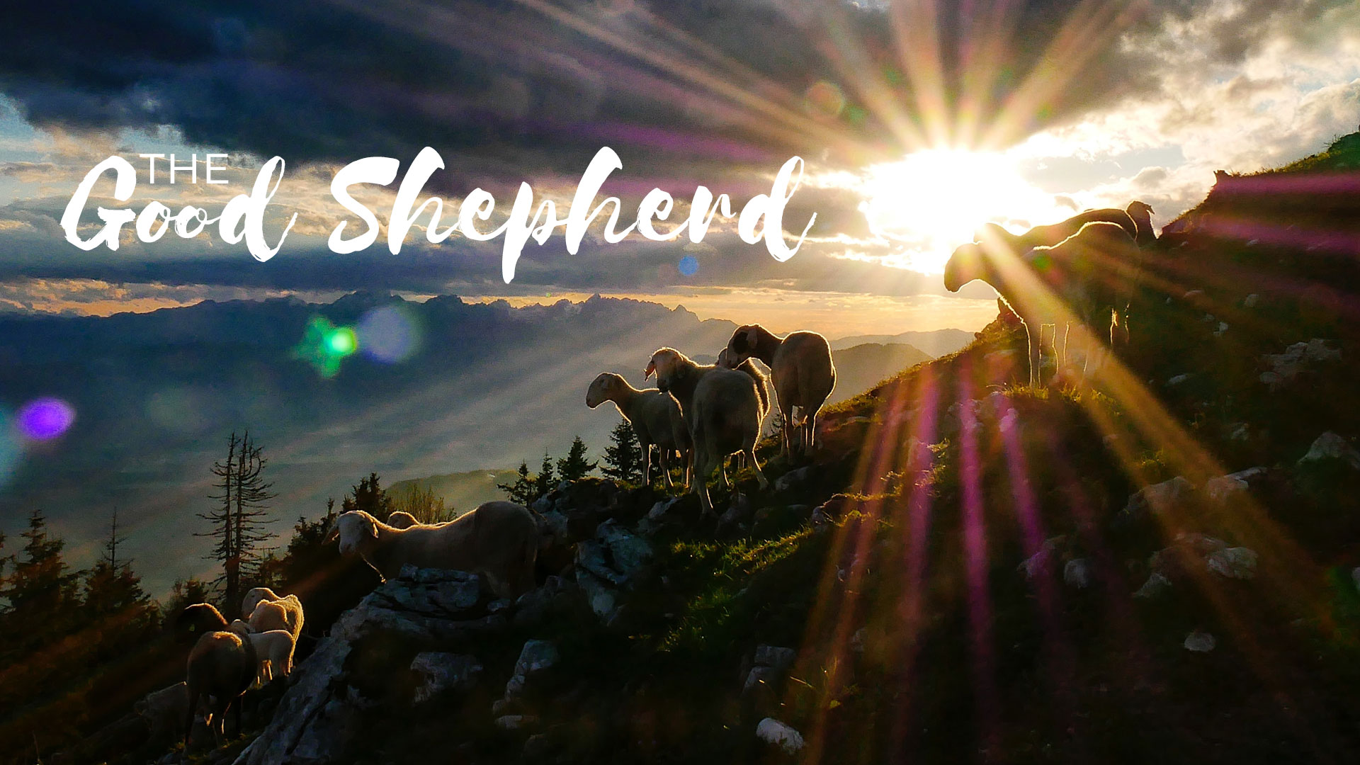 The Good Shepherd: Part 1